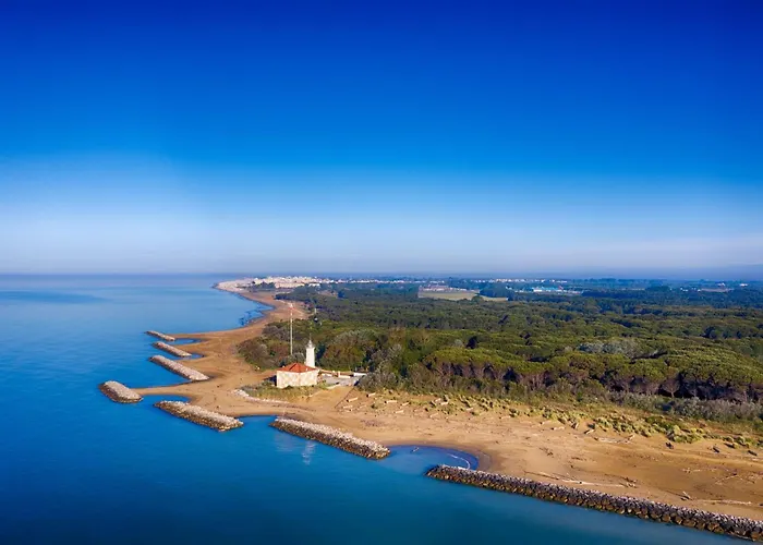 דירה In ביביונה