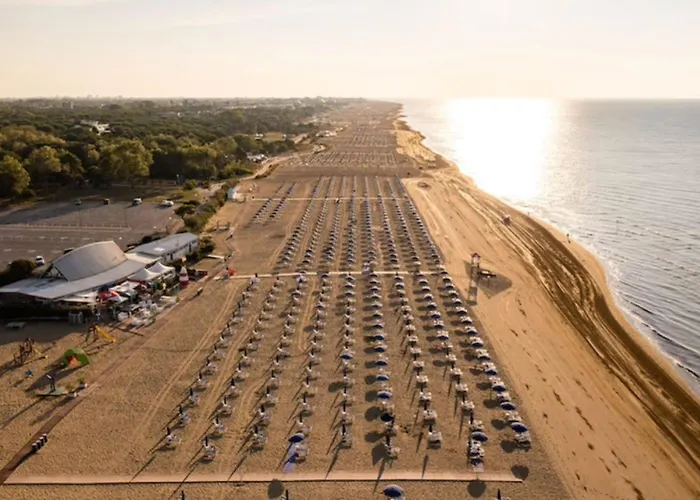 In דירה ביביונה